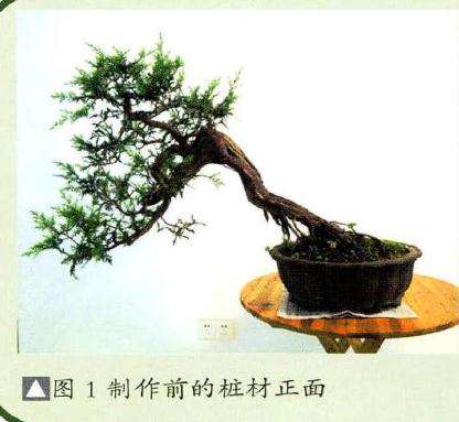 制作前的桩材正面