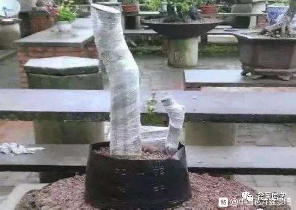 下山桩怎么缠膜套袋的那些事