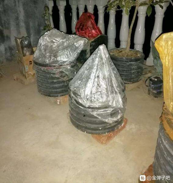 金弹子下山桩缠膜套袋 会不会霉变
