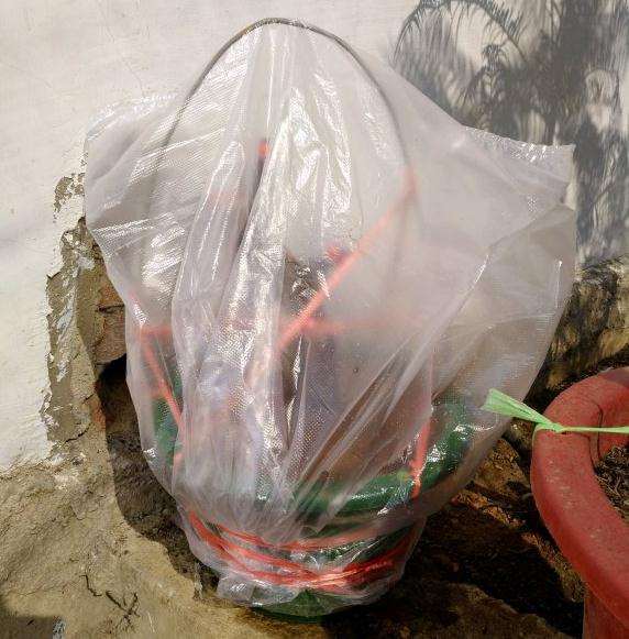 下山桩怎么套袋