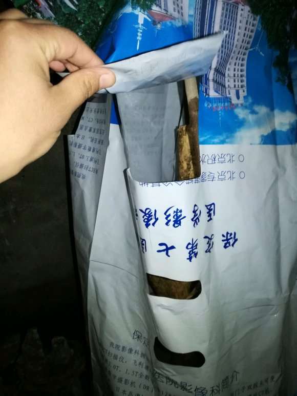 九里香下山桩生桩是缠膜