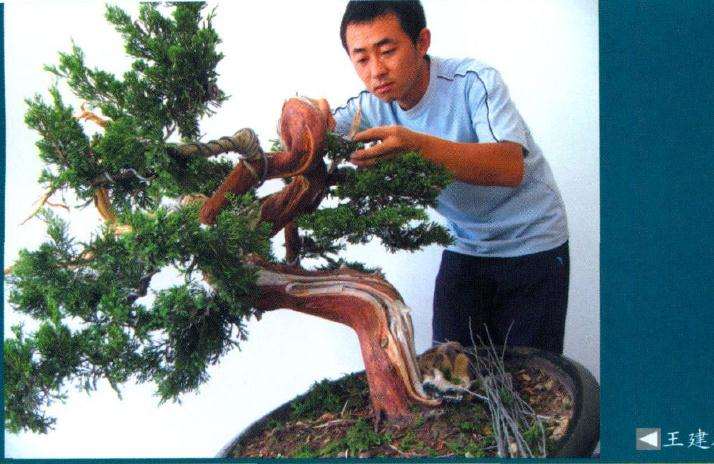 河南信阳嘉盆景园