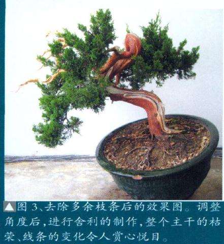 进行舍利的制作