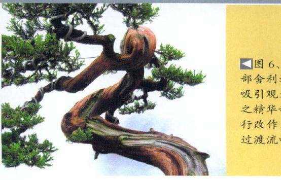 发现顶部舍利过于繁琐多余