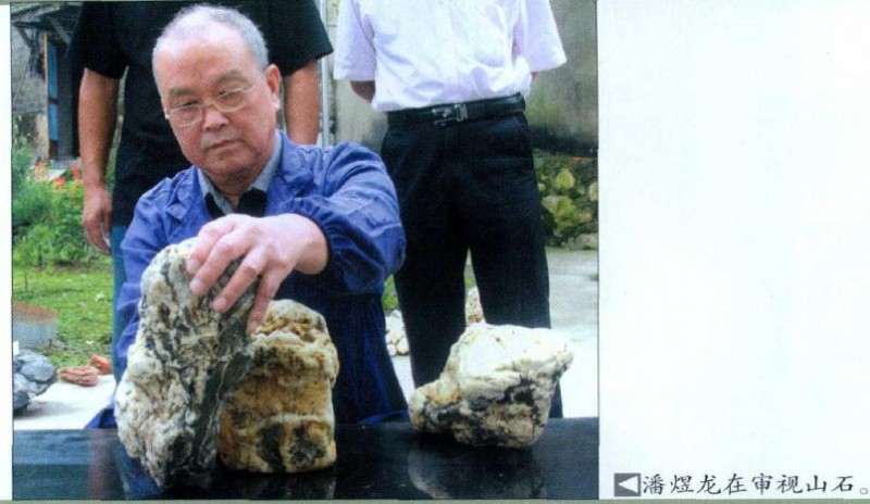 山石盆景的制作必须依据具体山石材料的特性