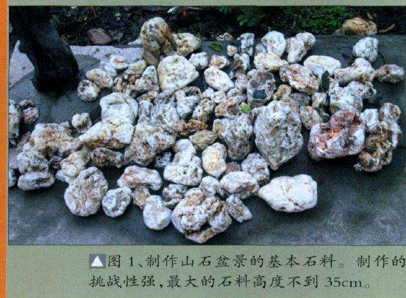 制作山石盆景的基本石料