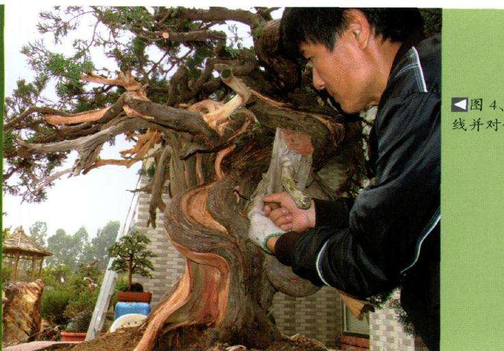 张文景先生首先清理出水线并时舍利部分进行雕刻