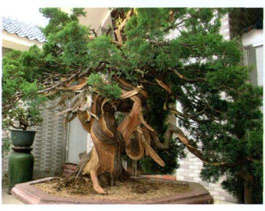 初步雕刻后的正反两面效果图