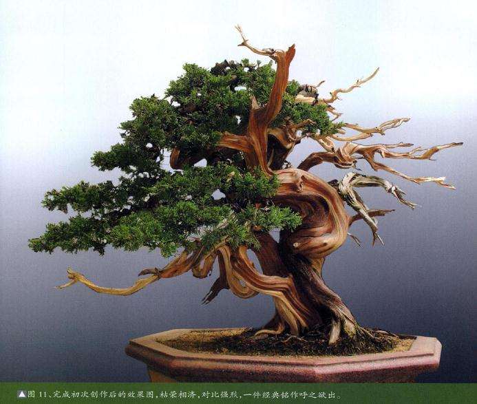 完成初次制作后的效果图