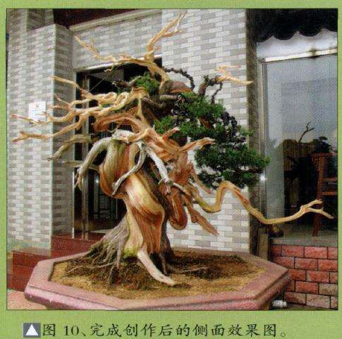 完成制作后的侧面效果图