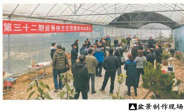 贵州湄潭第32期盆景现场制作交流会