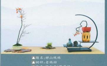 2020年 义乌市大陈杯老鸦柿盆景展