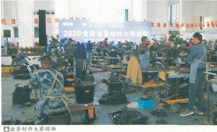 全国盆景展暨盆景创作大赛在如皋举办