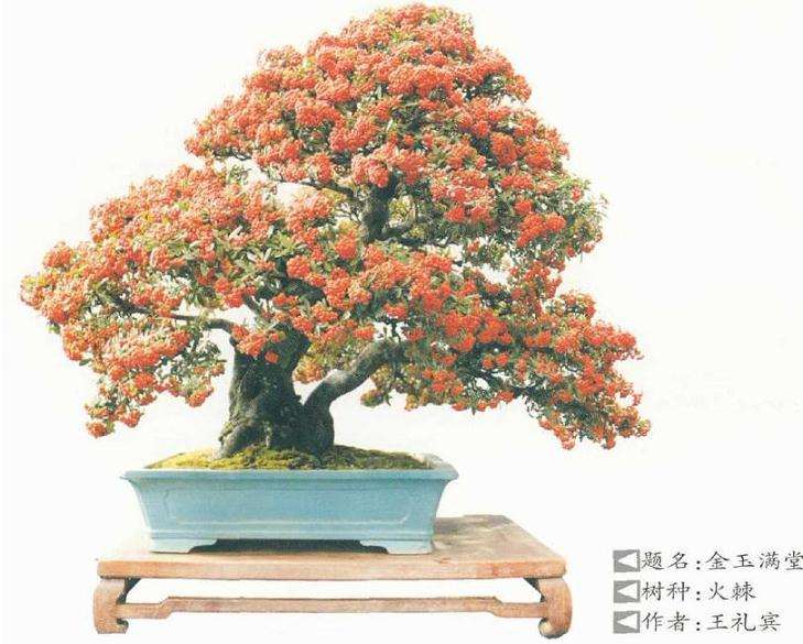 全国盆景展暨盆景创作大赛在如皋举办