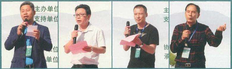 山松是岭南盆景常见树种