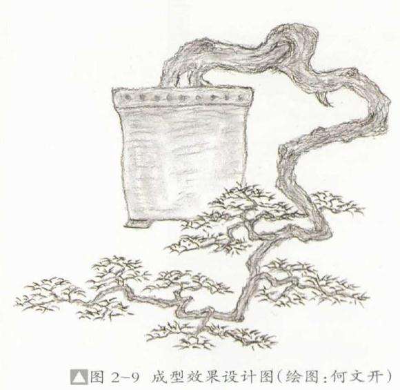 盆景成型效果设计图
