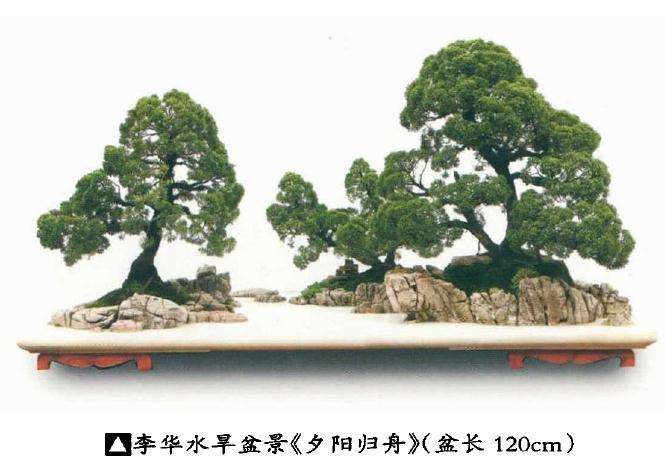 浅谈贵州山水盆景的发展前途有多大