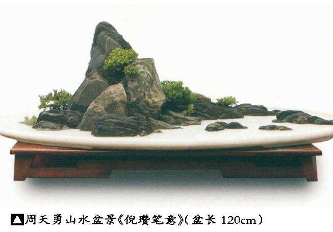 浅谈贵州山水盆景的发展前途有多大