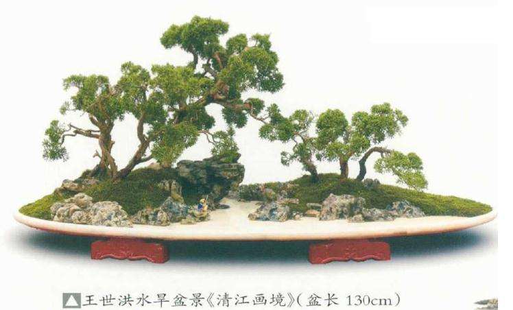 浅谈贵州山水盆景的发展前途有多大