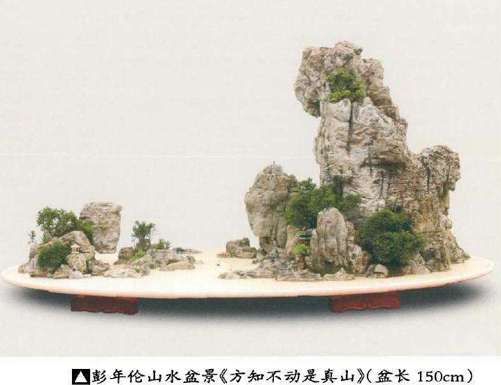 浅谈贵州山水盆景的发展前途有多大