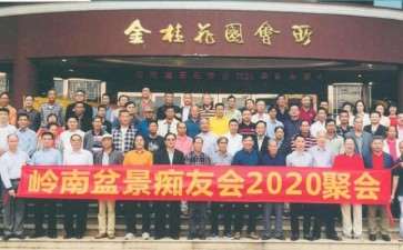 记岭南盆景痴友会2020年盆友聚会