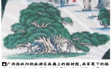 为什么盆景技艺的与时俱进 图片