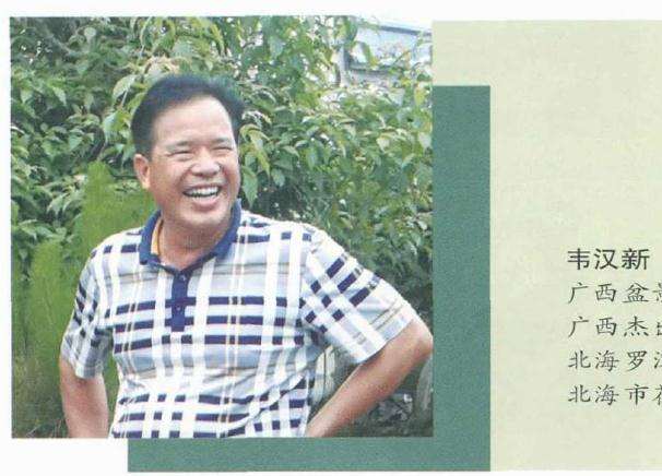 浅议自然树相与盆景树相的