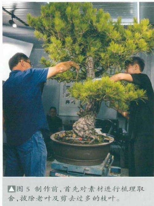 首先对素材进行梳理取舍