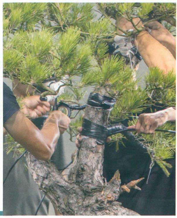 由于正值高温时节