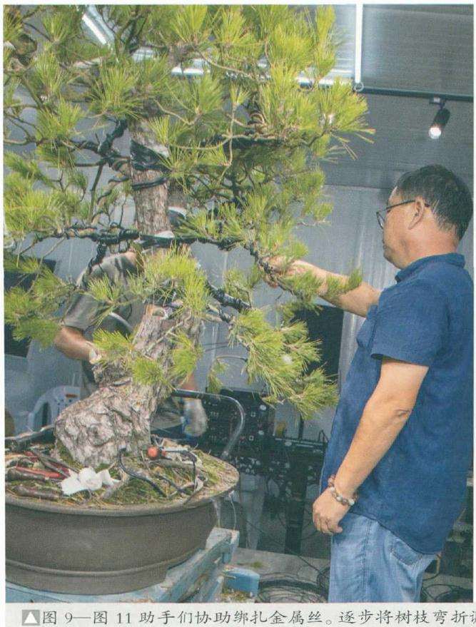 并制作树枝的线条结构