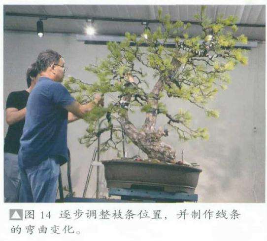 并制作线条的弯曲变化