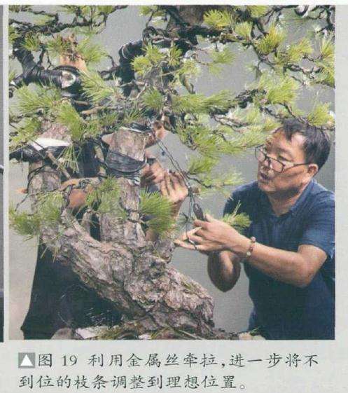 利用金属丝牵拉