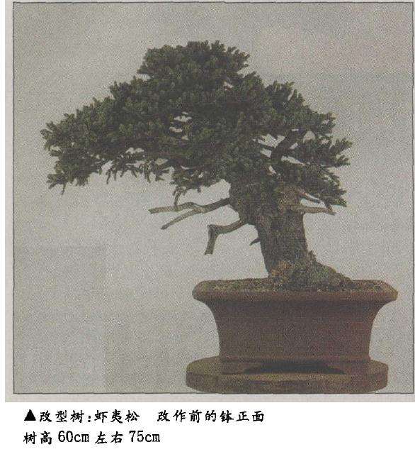 从现在钵的正面看来