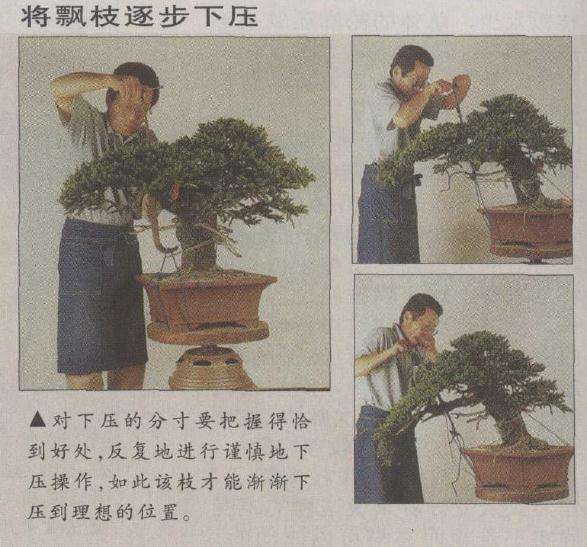 对下压的分寸要把握得恰到好处