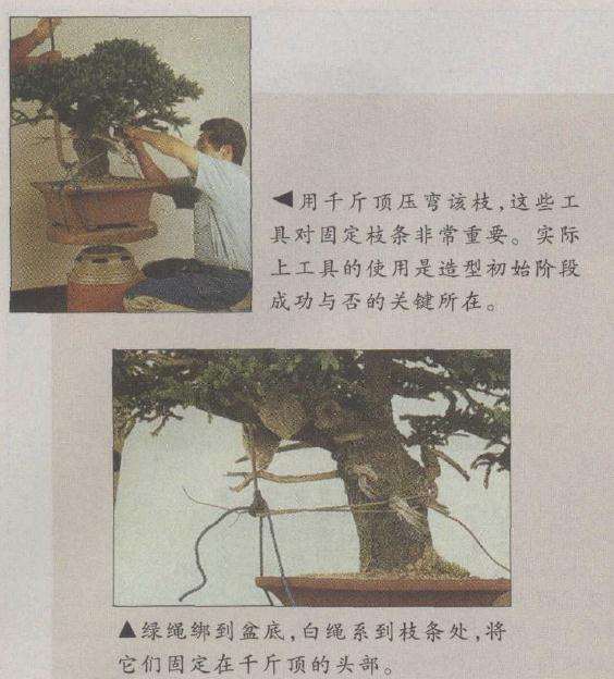 用千斤顶压弯该枝