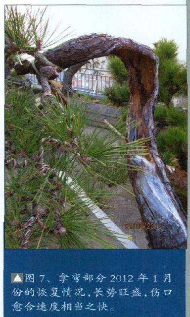 2012年1月份的恢复情况