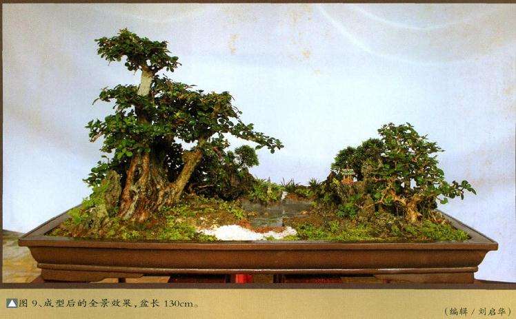 成型后的全景效果