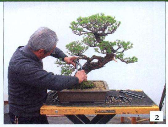 打破原僵直线条