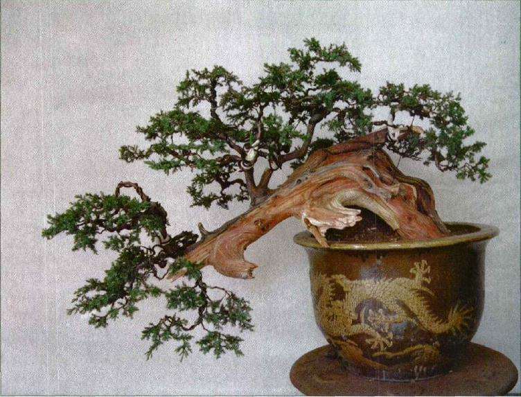 初次创作完成后的正面相