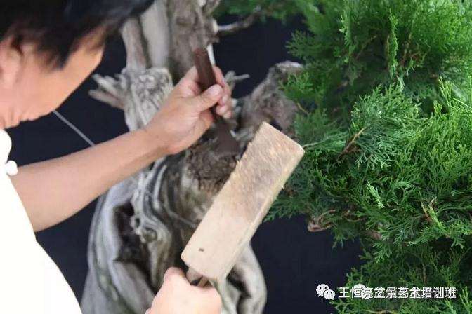 用木凿均匀的凿截面