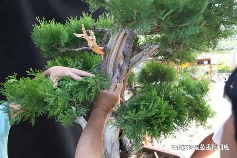 清理出生命水线