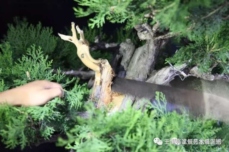 将此处配干锯掉