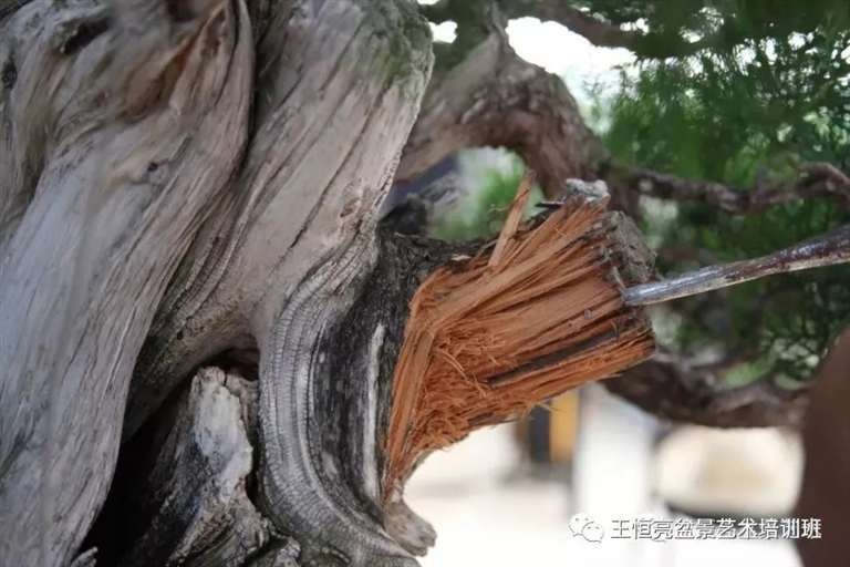 做最后的调整布局