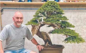 西班牙盆景艺术家 luis vila 图片