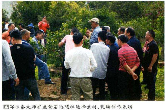 2020年 化州盆景造型创作培训班 图片