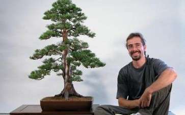 西班牙盆景艺术家 大卫·贝纳文特