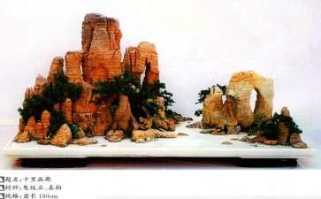 2021年 韦群杰盆景新作赏析 图片