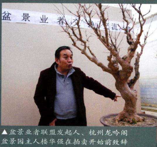 杭州盆景