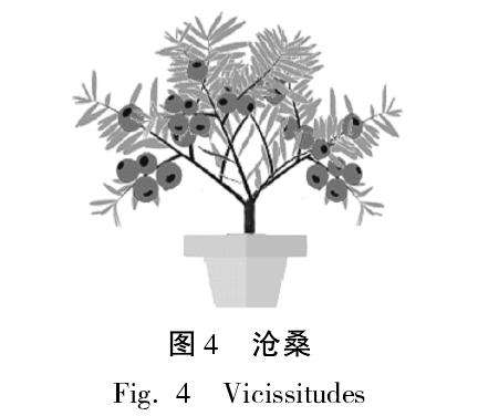 东北红豆杉盆景沧桑