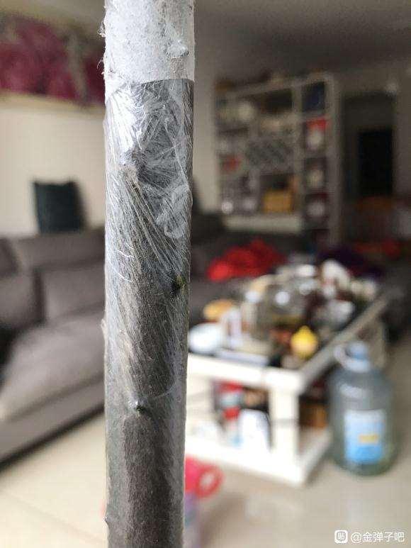 金弹子下山桩生桩发芽